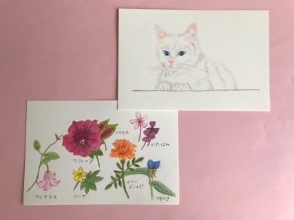 窓辺の猫と庭の花
