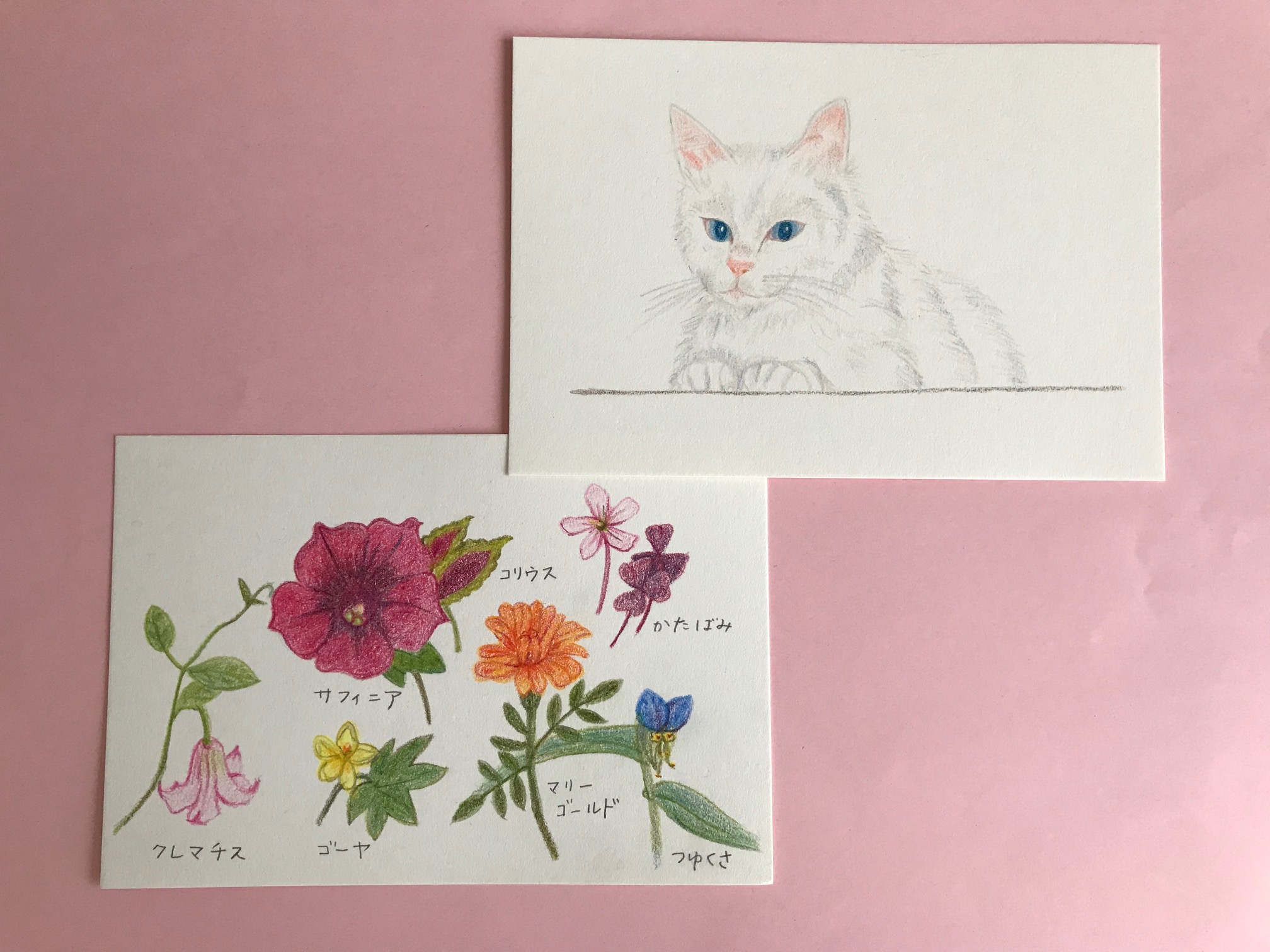 【色鉛筆】窓辺の猫と庭の花