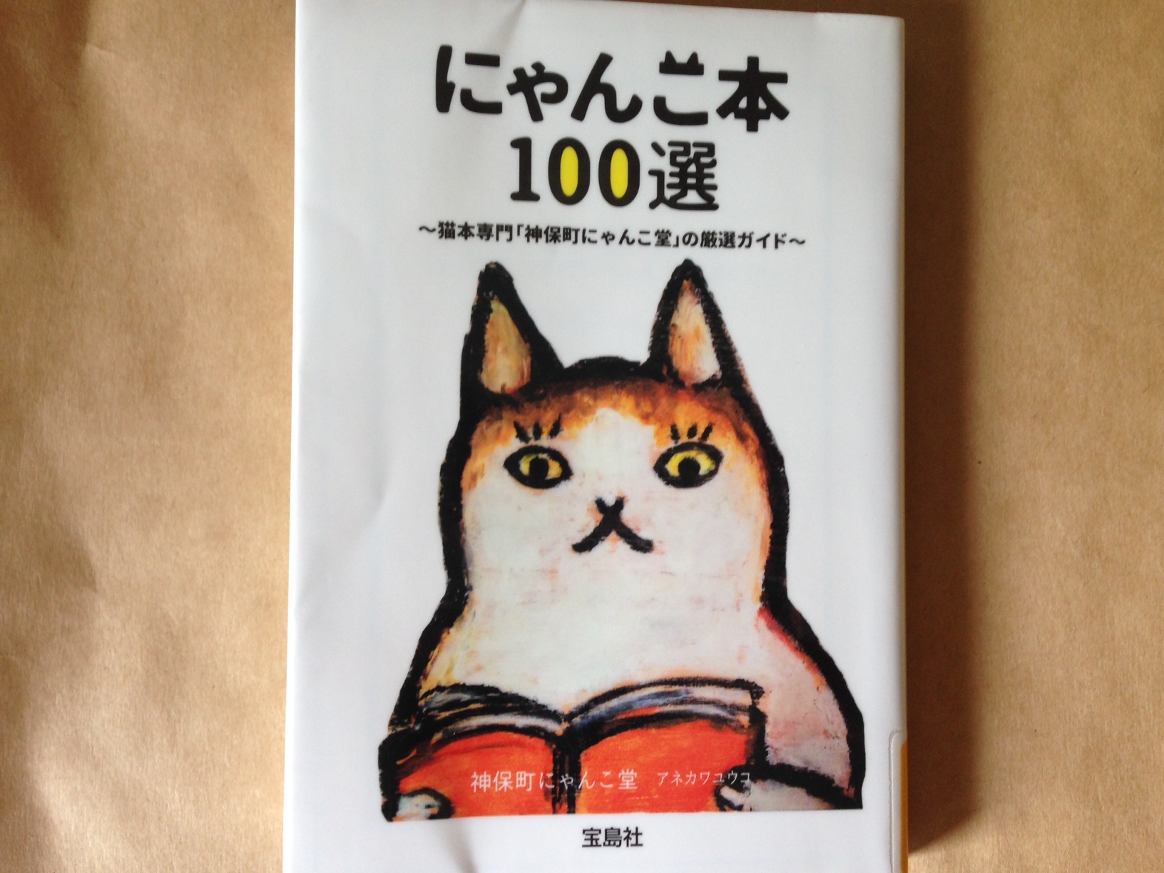 気になる猫の本がいっぱい♪　「にゃんこ本100選　～猫本専門「神保町にゃんこ堂」の厳選ガイド～」