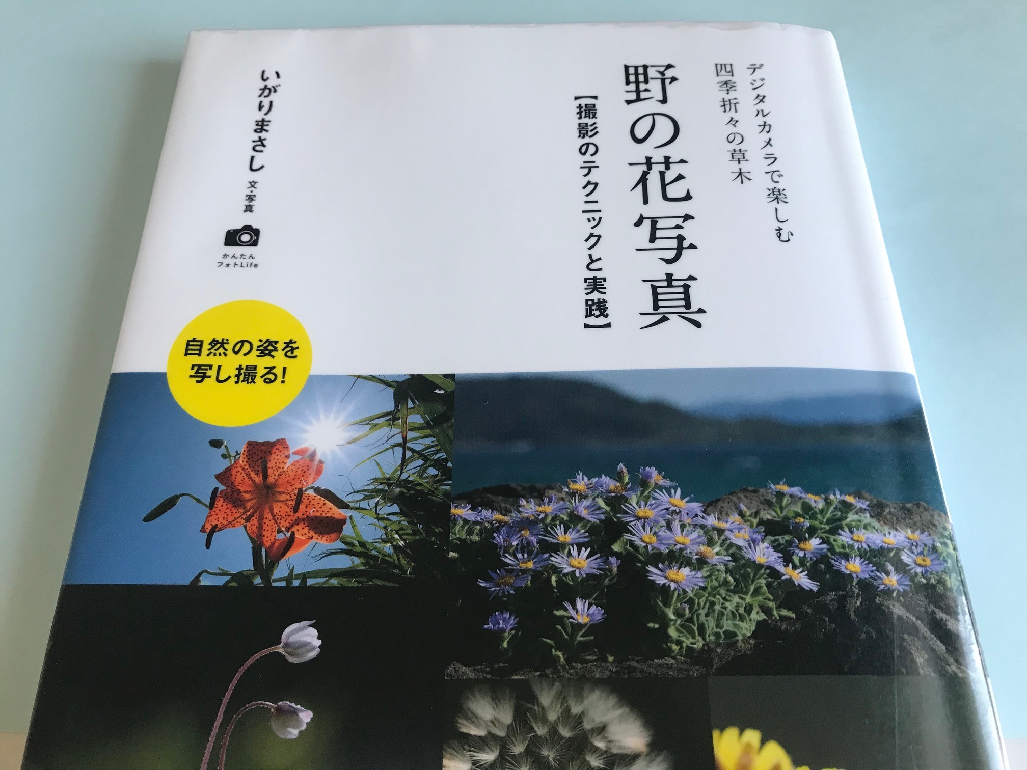 野の花に会いに出かけたくなる「野の花写真」の本