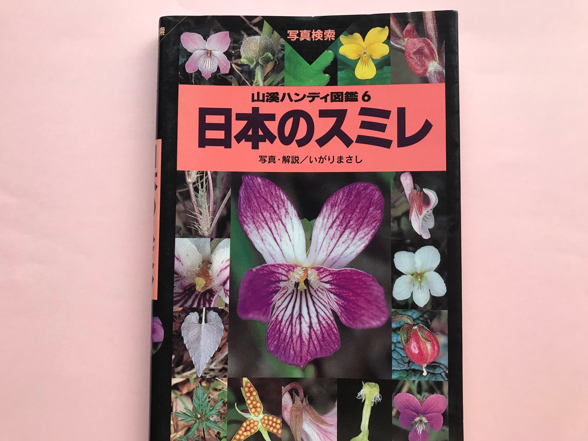 「日本のスミレ」という図鑑　～お気に入りのスミレを探すのも楽しい～